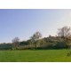 Properties for Sale_Farmhouses to restore_Farmouse le tre Cannelle in Le Marche_10